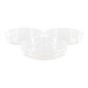 20 Plastic Petri Dish Sterile (Greiner)