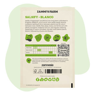 Salsify 'Blanco' (Tragopogon porrifolius) Seeds