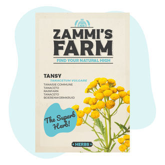 Tansy (Tanacetum vulgare) Seeds