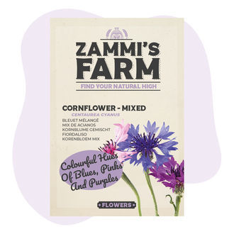 Cornflower 'Mixed' (Centaurea cyanus) Seeds