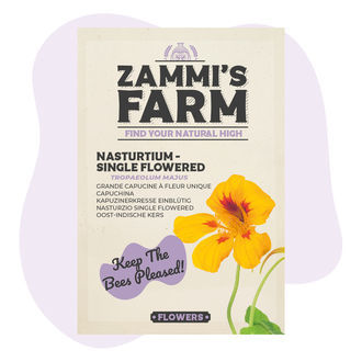 Nasturtium 'Single Flowered' (Tropaeolum majus) Seeds