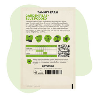 Blue Podded Pea (Pisum sativum) Seeds