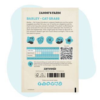 Barley - Cat Grass (Hordeum vulgare) Seeds