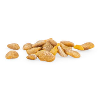 Ashwagandha (Withania somnifera) 20 seeds