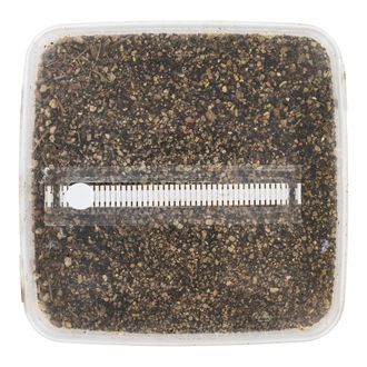 Sterilised Substrate Kit