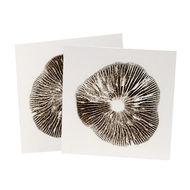 Spore Prints