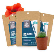 Psychoactive Plant Seeds