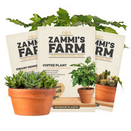 Interior Plant Seeds