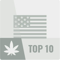 Top 10 USA Cannabis Strains