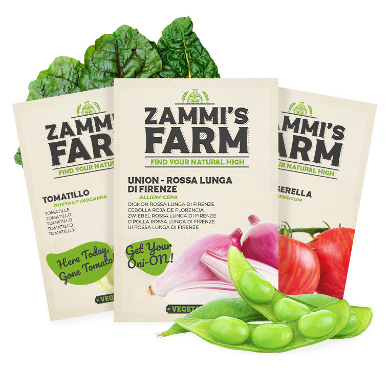 Vegetable Seeds