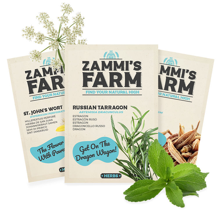 Wellness Plant Seeds