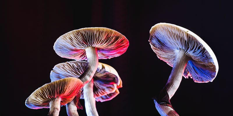 Gills