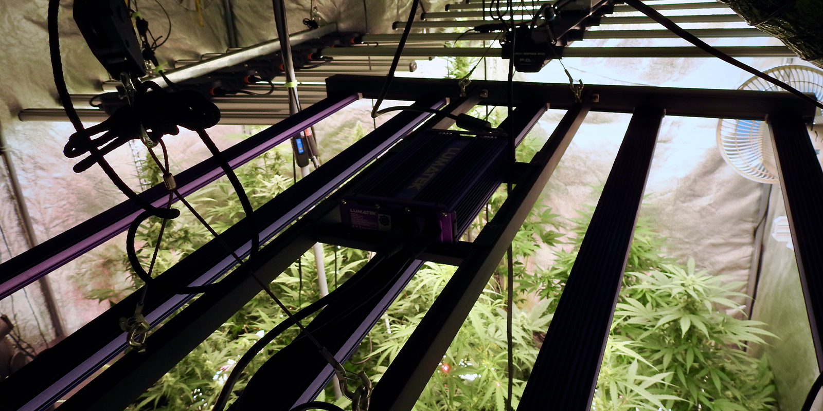 1. Check your environment