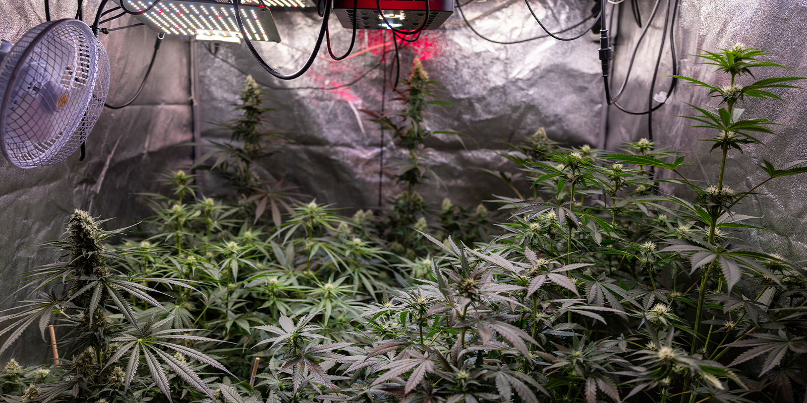 3. Make small, targeted adjustments