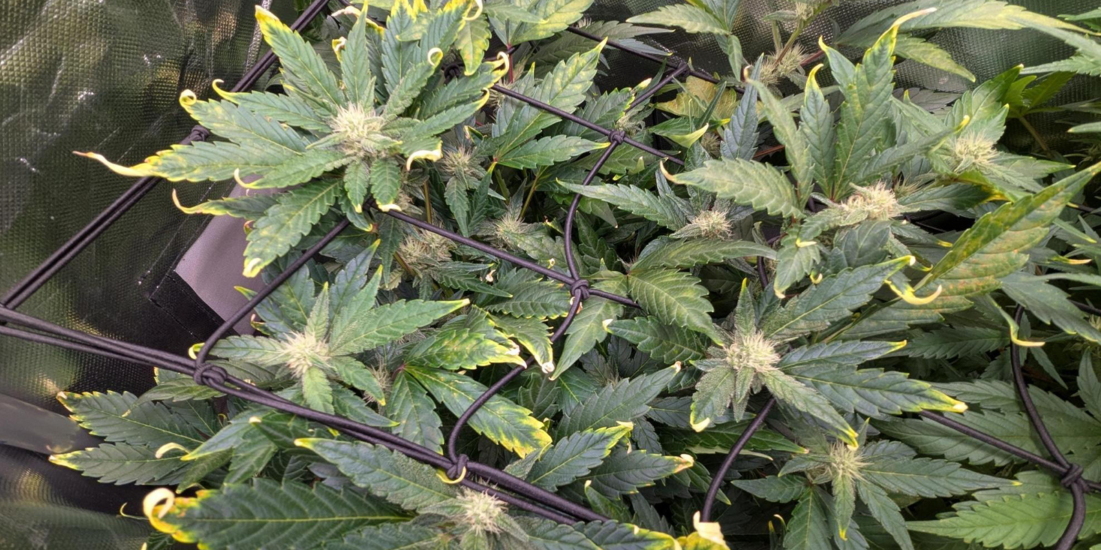 When to be concerned