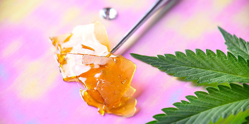 Factors that can influence cannabis’ psychoactive intensity