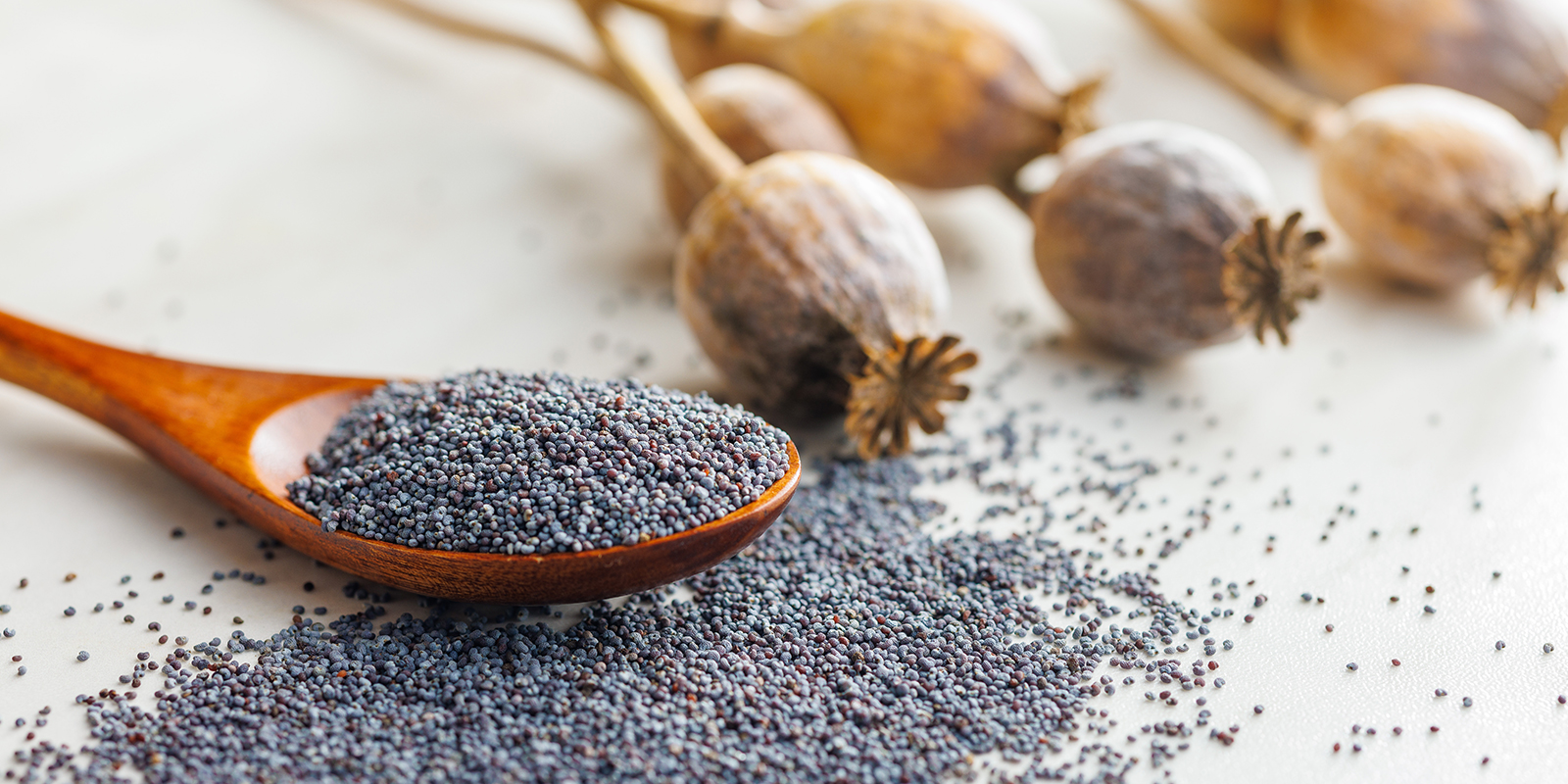 Myth 9: Medications and foods can cause false positives