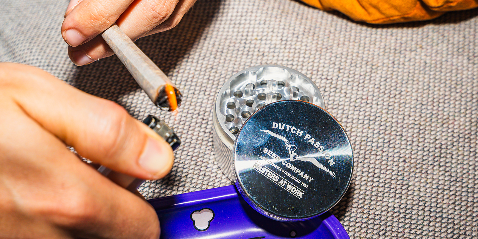 Dutch Passion Pollinator Grinder: Dutch Passion Dutch Passion Pollinator Grinder: Dutch Passion