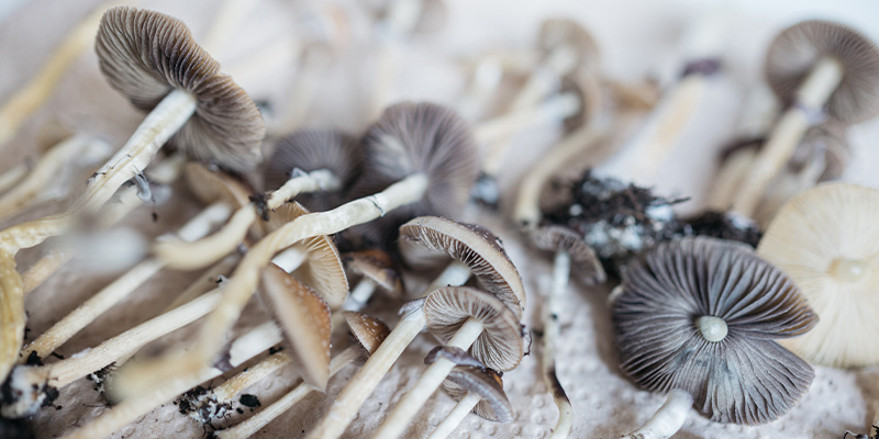 What are nootropics?