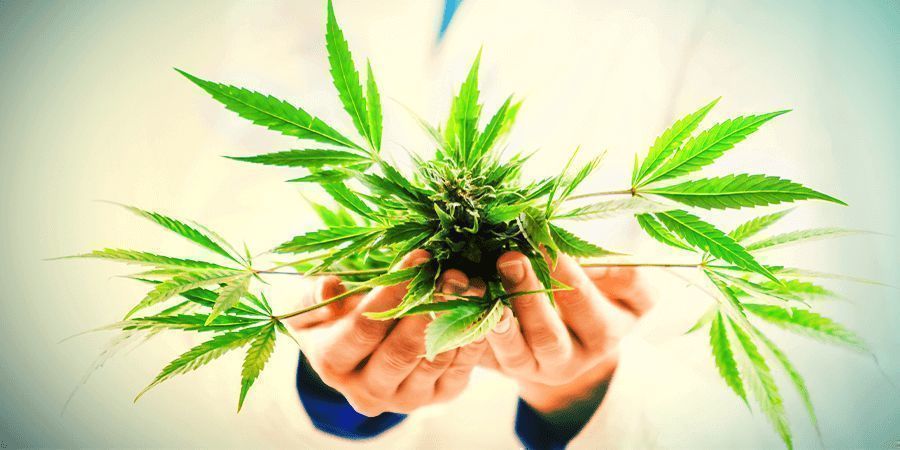 THINK ABOUT HOW YOU PLAN TO USE CBD