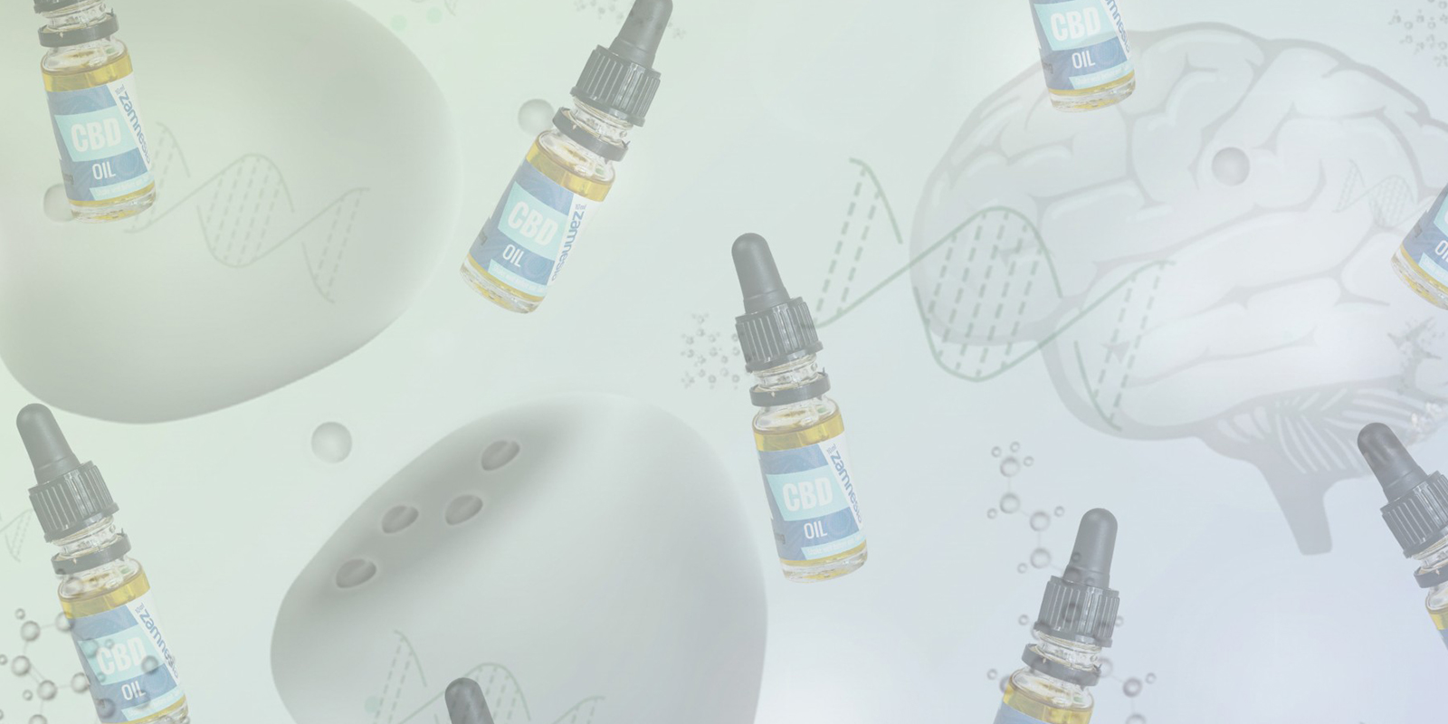 How does CBD oil work in the body?