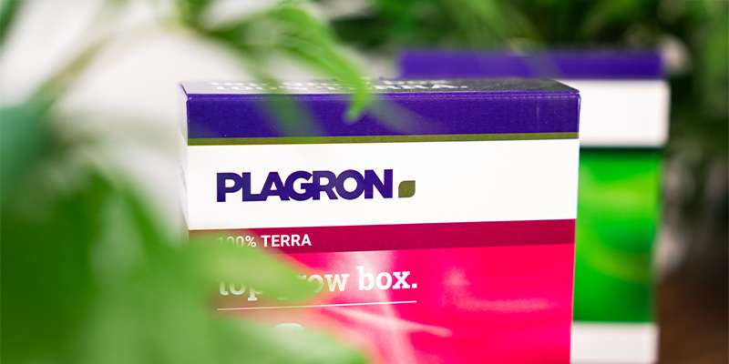 Plagron: Who Are They and What Do They Do?