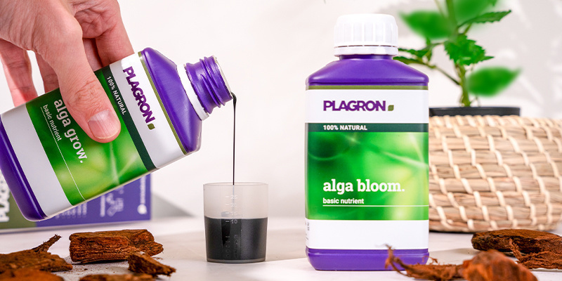 What Is the Plagron Top Grow Box and Why Should You Use It?