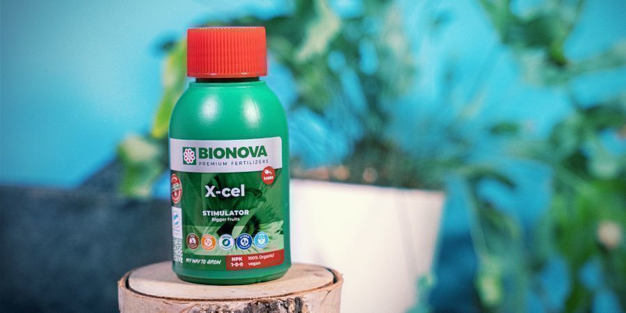 Bionova X-cel 