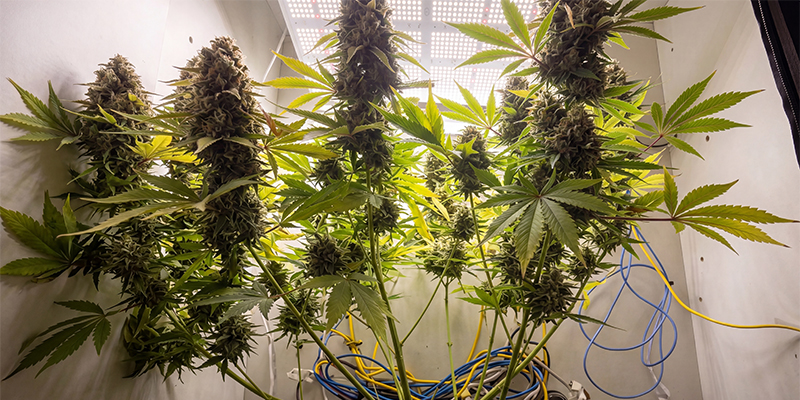 AK-47
