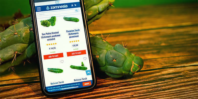 Where To Buy Echinopsis Zamnesiana