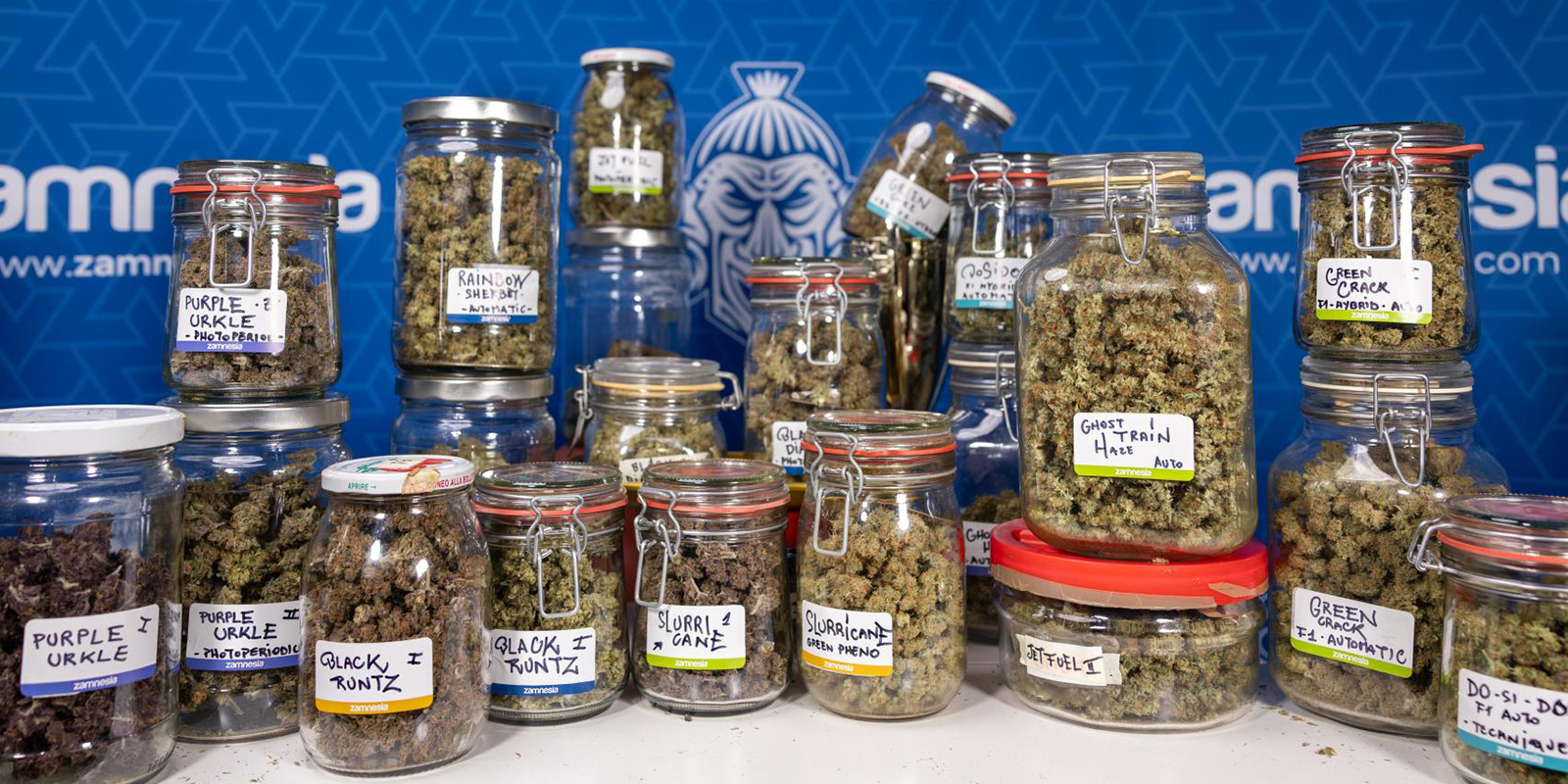 Final thoughts: Why these strains keep our community coming back