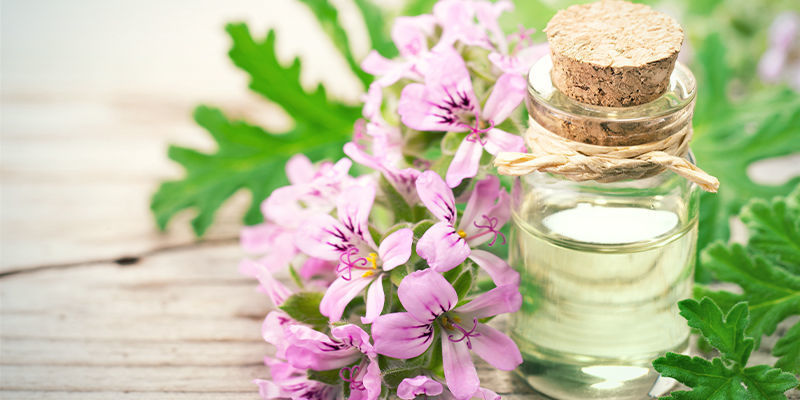 What Is Geraniol?