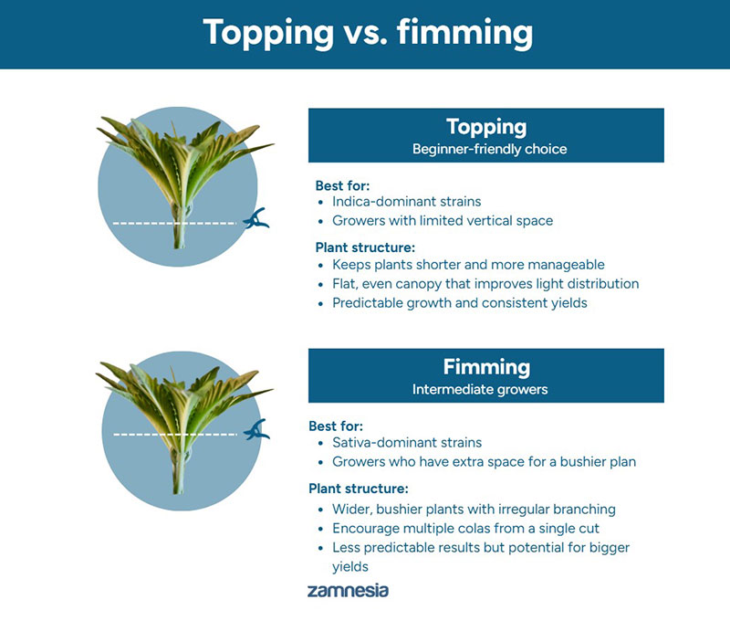 Topping vs fimming