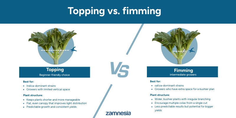 Topping vs. fimmen