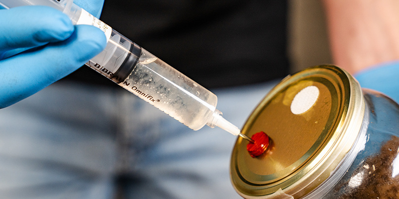 Inoculate the kit by sticking the syringe into the medium through the injection port