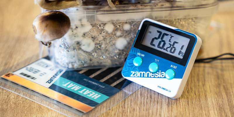 Use a heat mat to keep the temperature between 21–24°C