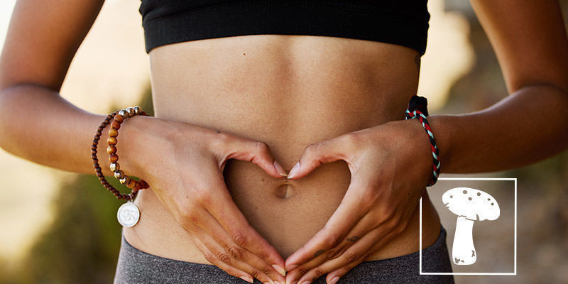 What Do Mushrooms Do For You Body?