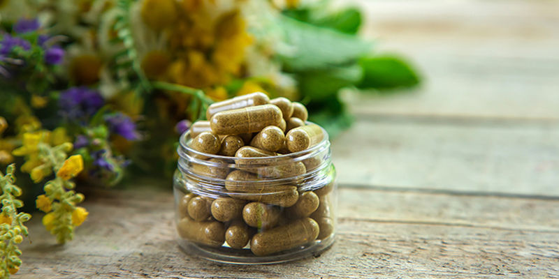 Catnip in herbal remedies