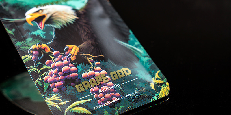 Rank 5: Grape God Automatic (Zamnesia Seeds)