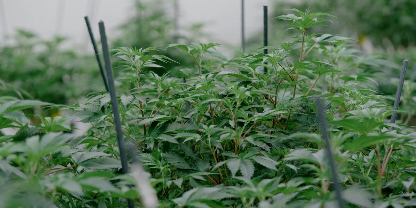 A new chapter A new chapter