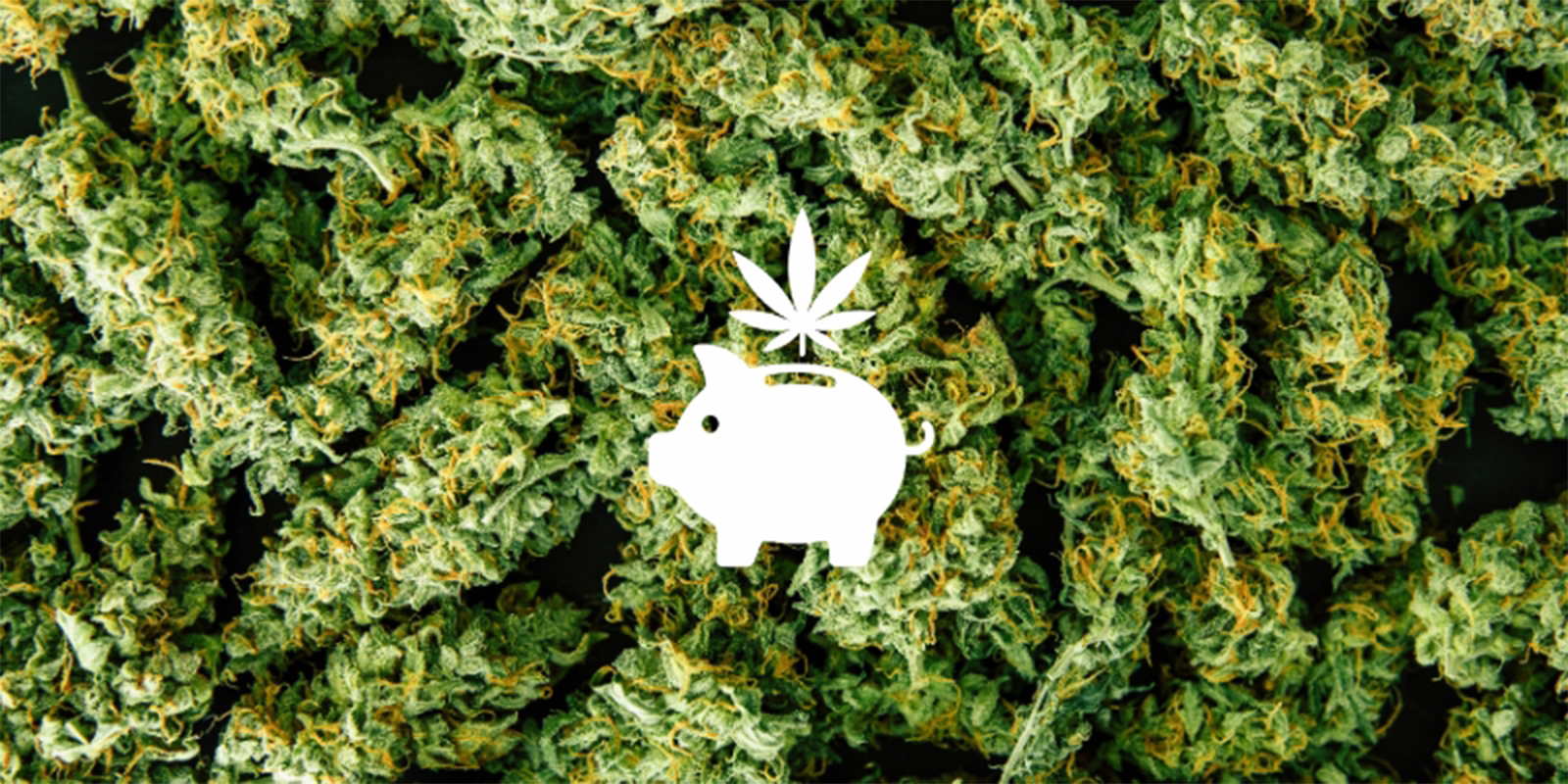 Reason #1: Save money in the long run Reason #1: Save money in the long run