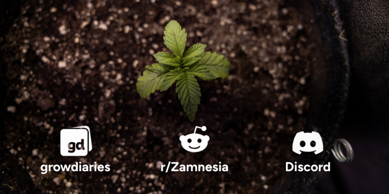 Reason #10: Join a growing community Reason #10: Join a growing community