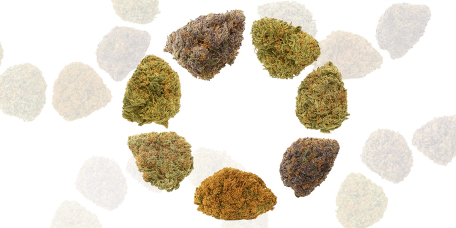 Reason #3: Tailored to your needs Reason #3: Tailored to your needs