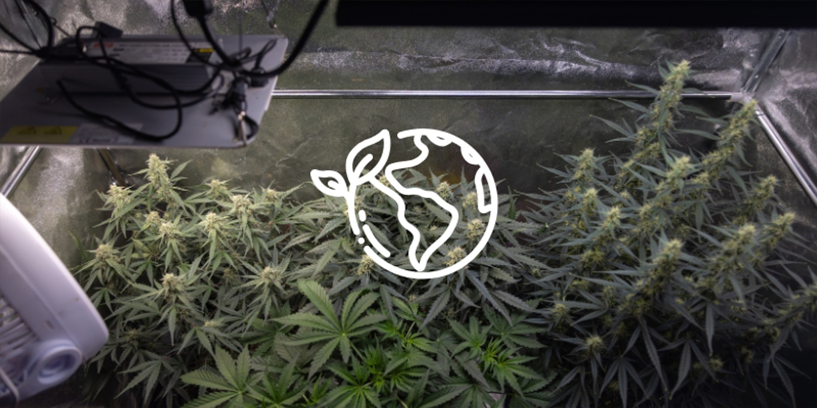 Reason #5: It’s more sustainable Reason #5: It’s more sustainable