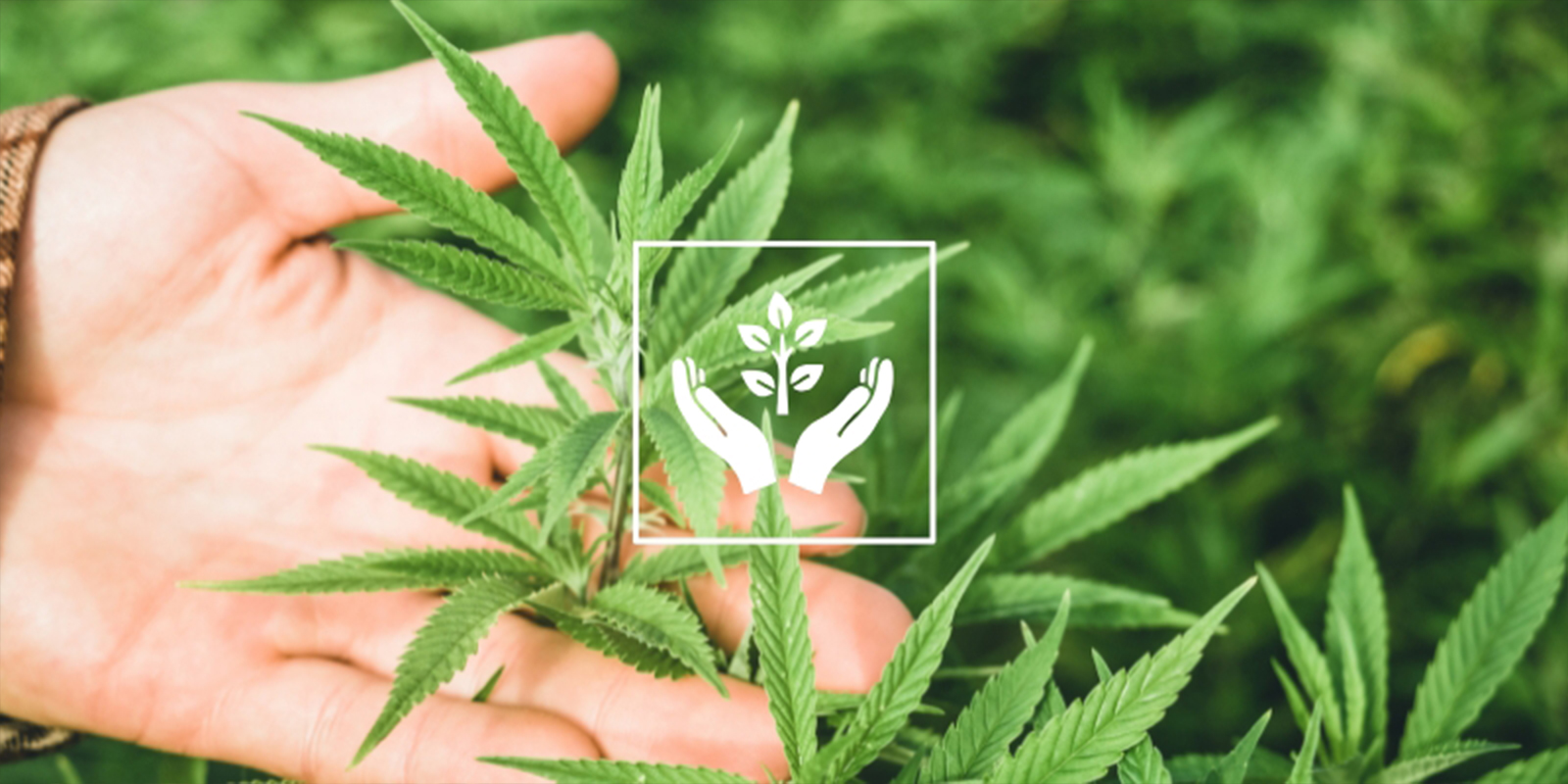 Reason #8: Therapeutic & mindful Reason #8: Therapeutic & mindful