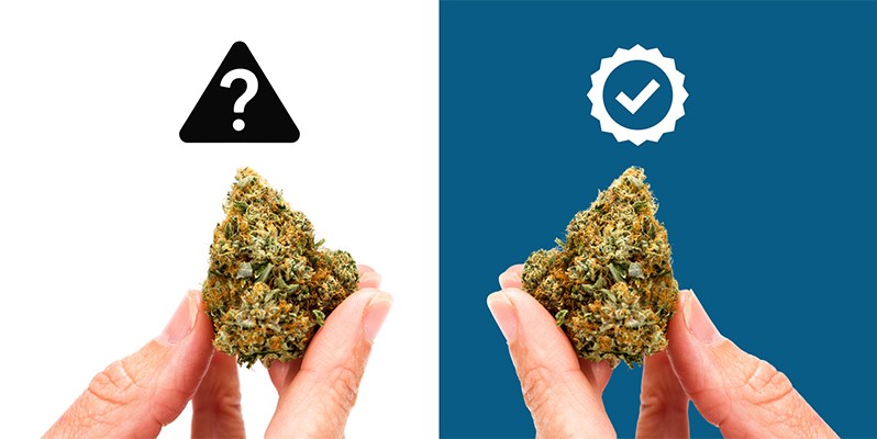 Reason #2: Full control over quality Reason #2: Full control over quality