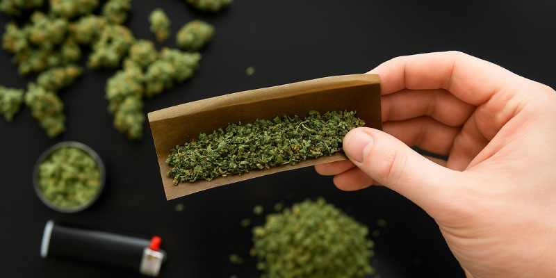 CBD flower (most popular)