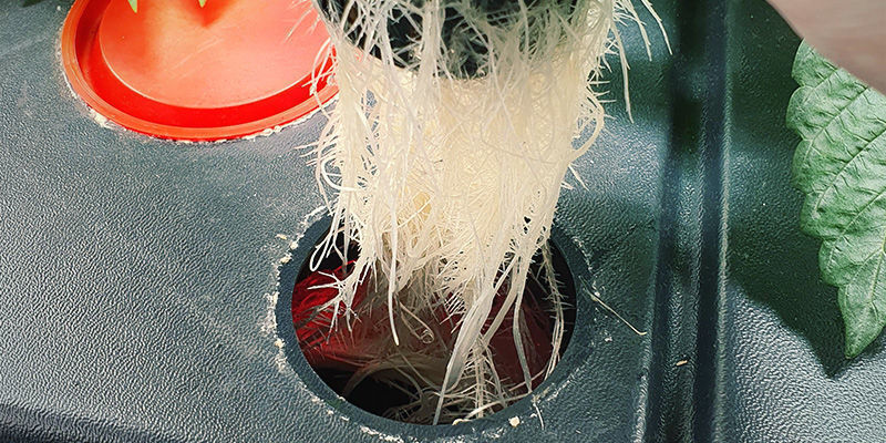 Route the Water From Your Reservoir to Your Root Zone