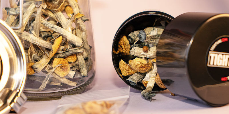 How to store dry mushrooms
