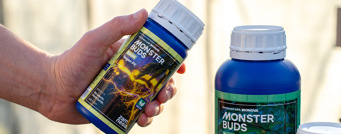 Zamnesia Monster Buds fertilizer dosing schedules